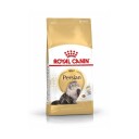 Royal Canin Perser Tørrfôr 10 kg til voksne katter med hud- og pelspleie