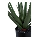 House Nordic Aloe Vera 9501001