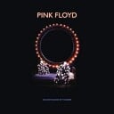 Pink Floyd  Delicate Sound Of Thunder  CD