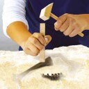 SES Creative Excavation T-Rex and Skeleton S25092