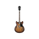 Ibanez As-73 Tbc El-Gitar