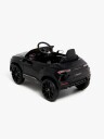 Lamborghini Urus Elbil Svart