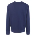 Polo Ralph Lauren Herre Gensere & Hettegensere Blå M,