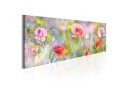 Tavla Rainbow of Morning Poppies 135x45  