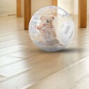Rxs Hamsterball Med Hvitt Lokk