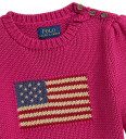 Ralph Lauren Kids Flag Cotton Crewneck Sweater Pink 117-123