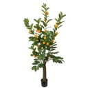 Mr Plant Sitrustre 150 cm