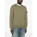 Stone Island Herre Gensere & Hettegensere Grønn M,