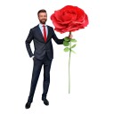 Mikamax Gigantisk Rose