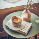 Palais des Thés Sencha Ariake Organic Te 20 stk.
