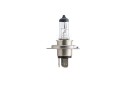 Philips H4 MasterDuty Halogen pære