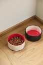 Hay Dog Bow Small Blue Red 15 X 7 cm (Ad866-A601-Al51)