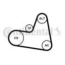 Kileremsett CONTITECH 6PK962K2