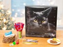 Julekalender med kattegodteri