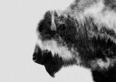 Forest Bison Spirit Plakat / 70x100