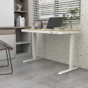 Skrivebord HOME4YOU Ergo med 1 motor 120x60x72-121 cm eik/hvit - eik/hvit