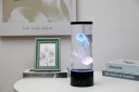 iTotal - Jellyfish Lamp round 30 cm (XL2496)