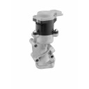 EGR ventil BorgWarner 710984D