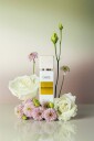 Gritti Eclectique Gritti Eau De Parfum 100ml