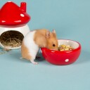 Scruffs Small Animal Mushroom Ceramic Set