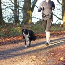 Trixie Magebelte med elastisk line for hunder opptil 40 kg, 60-120 cm - Svart
