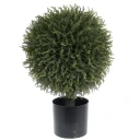 Mr Plant Gran Tre 55 cm