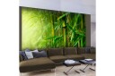 Fototapet Jungle Bamboo 300x231 - Artgeist sp. z o. o.