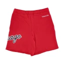 Mitchell & Ness Herre Shorts Rød S,