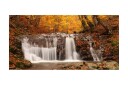 Fototapet XXL Høstlandskap Foss I Skogen 550x270 - Artgeist sp. z o. o.