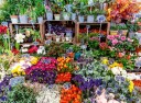 Ravensburger Puslespill 500 Blomstermarked
