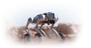 Unitree Go2-W U1 Firbeint Hybridrobot med 3D-LiDAR