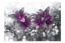 Fototapet Secret Of The Lily 350x245 - Artgeist sp. z o. o.