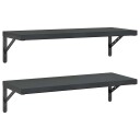 Vegghyller 2 stk 75x30 cm svart rustfritt stål
