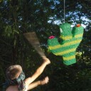 Rxs Pinata kaktus 10031479