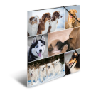 HERMA 3-flap folder - for A4 - dogs