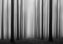 Labyrinth Plakat / 70x100cm