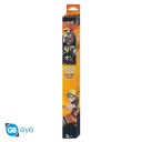 Naruto Plakat 52 x 38 cm Ninjas 2-pk