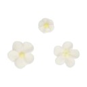 Spiselig Kakepynt Hvite Og Gule Blomster Pk/32 