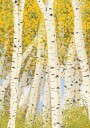Birch Trees in Autumn Plakat / 30x40