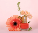 Zao Neglelakk 683 Orange Coral