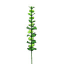 Europalms Crystal Eucalyptus, Green 81cm 12x