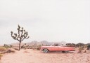In the desert Poster Plakat / 21x30cm