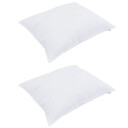 vidaXL Pute 2 stk. 70 x 90 cm Bomull Hvit