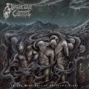 Lugubrious Garment In The Wide Vale Of Uncreated Night Limited Edition Vinyl