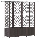 vidaXL Hevet Bed med Trellis og Tak Brun 163,5 x 40 x 136 cm PP