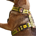 Dingo Gear Hundesele Do Not Pet (L)