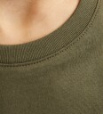 Jack & Jones Jjeorganic Basic Tee Ss O Neck Noos Jnr Green 176