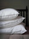 Cellbes Of Sweden Hotellpute 50x60 cm medium