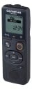 Olympus VN-541PC 4GB