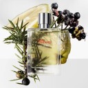 Hermès Terre d'Hermès Eau Givrée Eau de Parfum 100 ml Spray for Dame